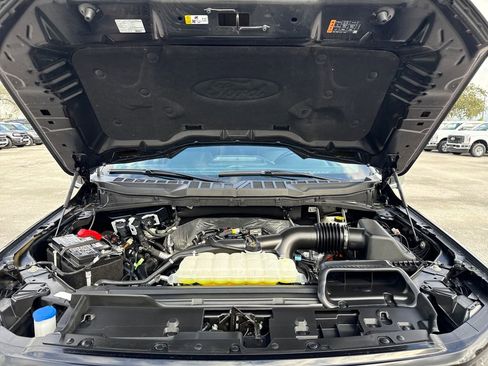 Used 2025 Ford F150 XLT w/ Equipment Group 303A High image 32