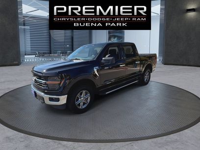Used 2025 Ford F150 XLT w/ Equipment Group 301A Standard