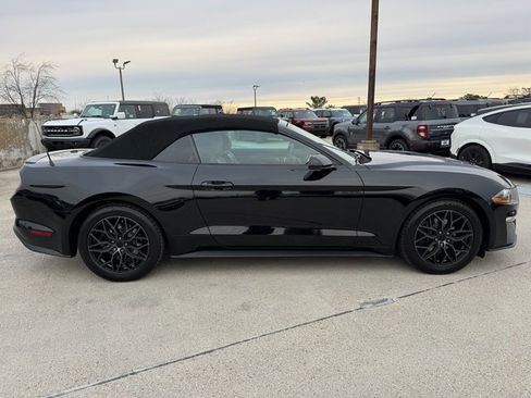 Used 2022 Ford Mustang Premium image 6