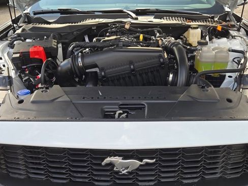 New 2026 Ford Mustang Coupe RWD image 16