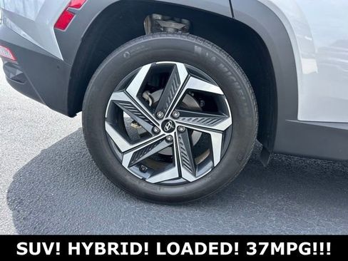 Used 2024 Hyundai Tucson Limited AWD/4WD image 7