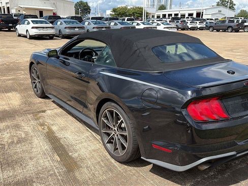 Used 2019 Ford Mustang Premium w/ Equipment Group 201A RWD image 2