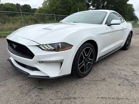 Used 2019 Ford Mustang EcoBoost Premium Coupe 2D w/ Equipment Group 101A RWD image 6