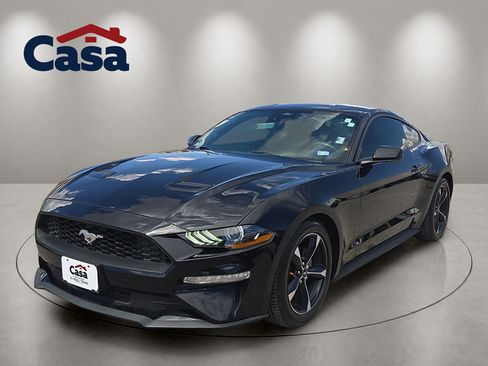 Used 2023 Ford Mustang Coupe w/ Equipment Group 101A RWD image 1