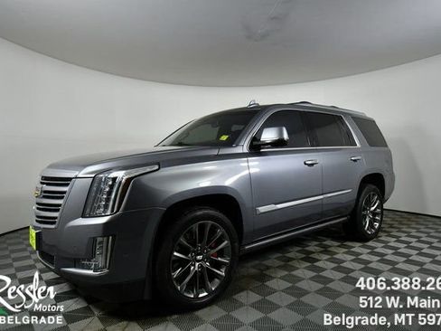 Used 2020 Cadillac Escalade Platinum image 1