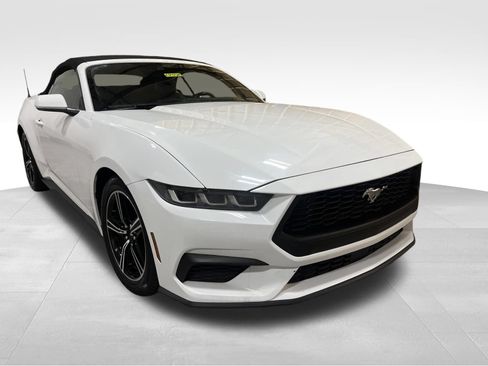 Used 2024 Ford Mustang Premium RWD image 3
