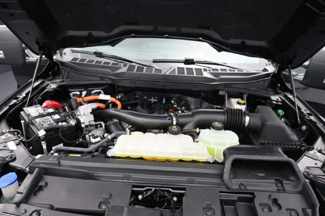 Used 2025 Ford F150 XLT w/ Equipment Group 301A Standard AWD/4WD image 11