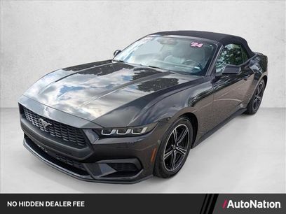 Used 2024 Ford Mustang Premium