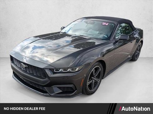 Used 2024 Ford Mustang Premium RWD image 1