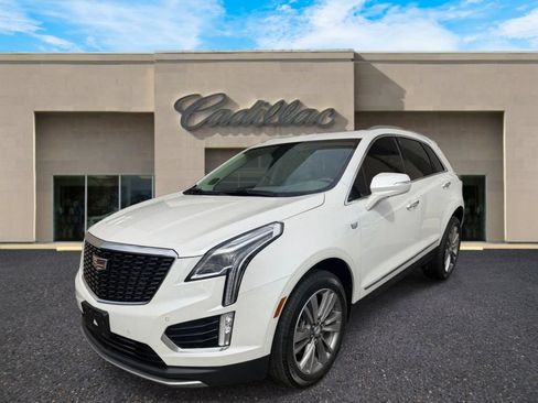 Used 2022 Cadillac XT5 Premium Luxury AWD/4WD image 7