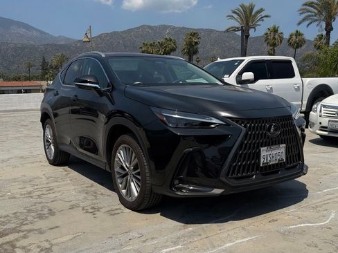 Used 2025 Lexus NX 350 AWD w/ Cold Area Package image 1