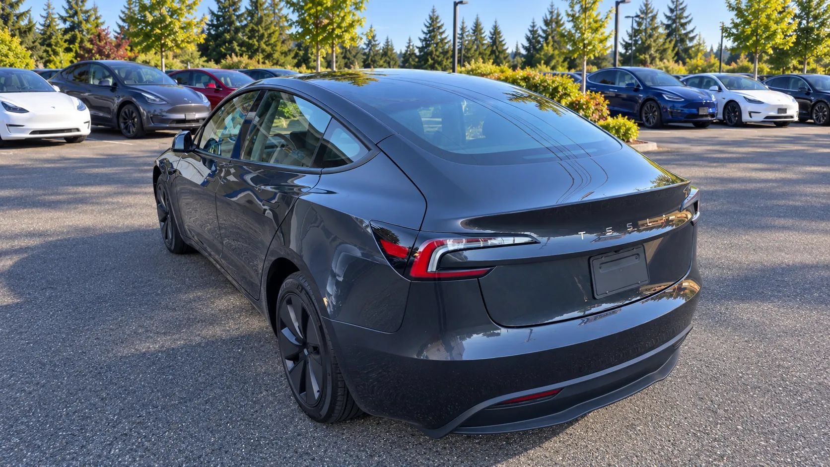 Used 2025 Tesla Model 3 Long Range RWD image 7