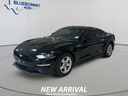 Used 2019 Ford Mustang Coupe RWD image 1