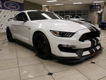 Used 2019 Ford Mustang Shelby GT350R w/ GT350R Equipment Group 920A