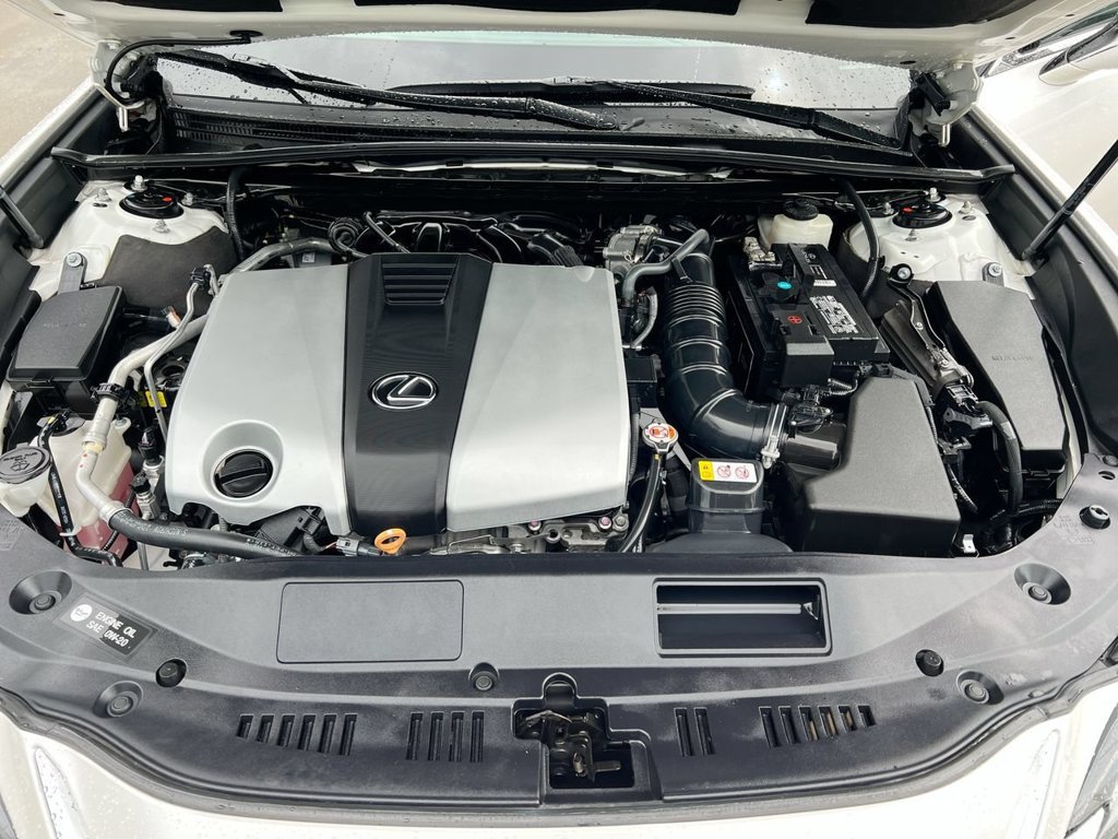Used 2019 Lexus ES 350 w/ Accessory Package 2 FWD image 10