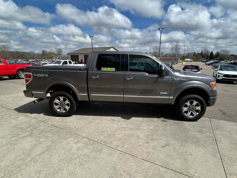 Used 2011 Ford F150 Platinum image 4