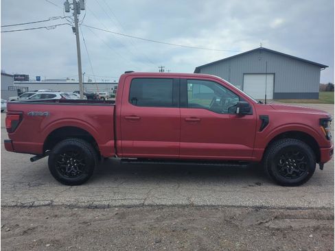 New 2025 Ford F150 XLT w/ Equipment Group 302A MID image 9