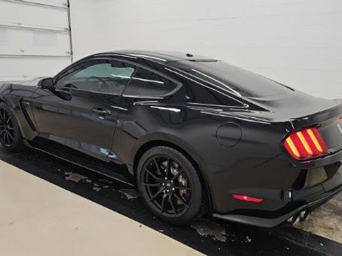 Used 2016 Ford Mustang Shelby GT350 w/ Technology Package image 2