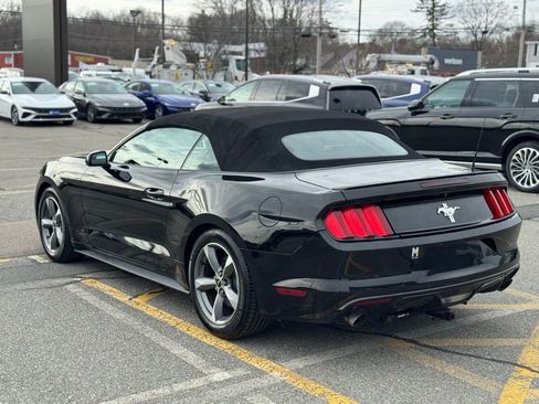 Used 2016 Ford Mustang V6 w/ Equipment Group 051A image 3