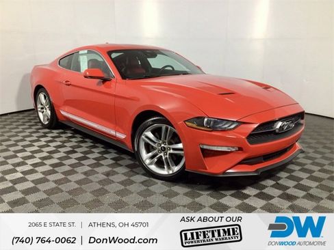 Used 2021 Ford Mustang Premium w/ Equipment Group 201A image 1