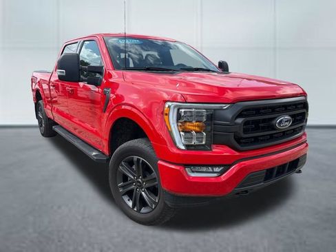 Used 2023 Ford F150 XLT w/ Equipment Group 302A High AWD/4WD image 5