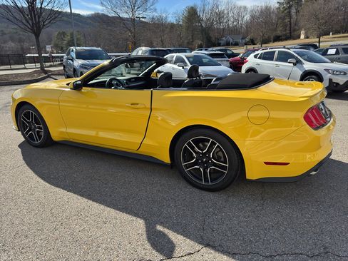 Used 2018 Ford Mustang Premium w/ Equipment Group 201A image 5
