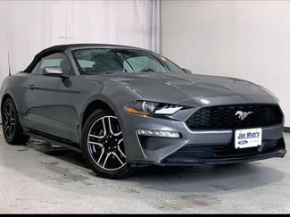 Used 2022 Ford Mustang Premium w/ Equipment Group 201A RWD video 1