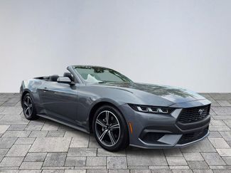 Used 2024 Ford Mustang Premium RWD video 1