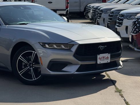 Used 2024 Ford Mustang image 2