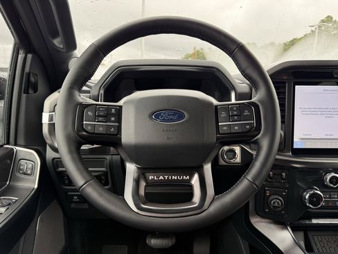 New 2025 Ford F150 Platinum image 14