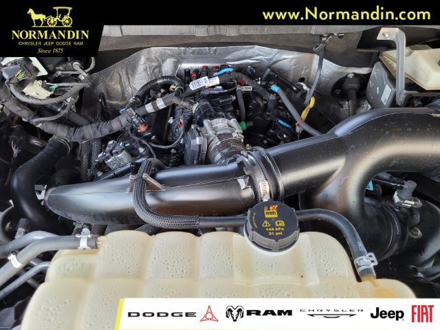 Used 2025 Ford F150 XLT w/ Equipment Group 301A Standard RWD image 20