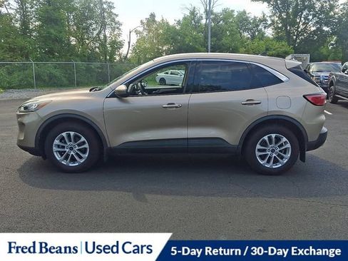 Used 2020 Ford Escape SE AWD/4WD image 8