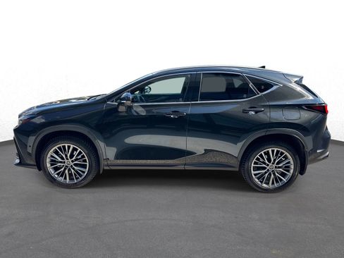 Certified 2022 Lexus NX 350h AWD image 6