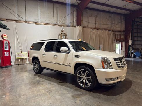 Used 2010 Cadillac Escalade ESV Premium AWD/4WD image 1
