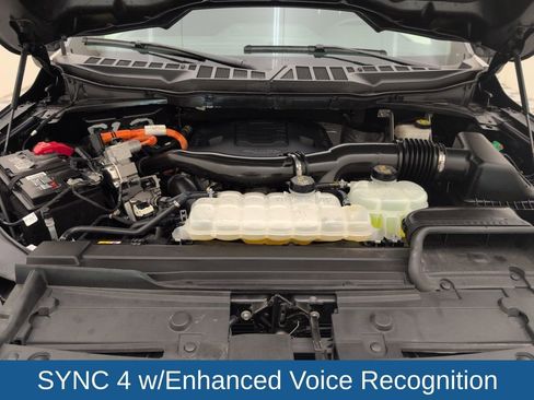 Used 2023 Ford F150 XLT w/ Equipment Group 302A High image 46