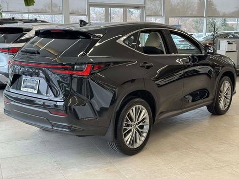 Certified 2025 Lexus NX 350 AWD w/ Cold Area Package image 4