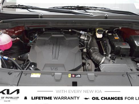 New 2026 Kia Carnival image 20