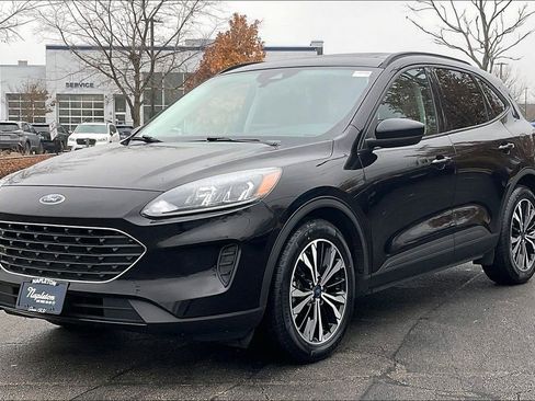 Used 2022 Ford Escape SE w/ SE Sport Appearance Package image 13