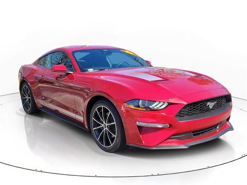 Used 2023 Ford Mustang EcoBoost w/ Equipment Group 101A image 4