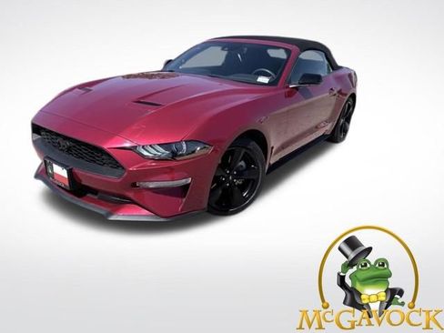 Used 2021 Ford Mustang Convertible w/ Equipment Group 101A RWD image 1