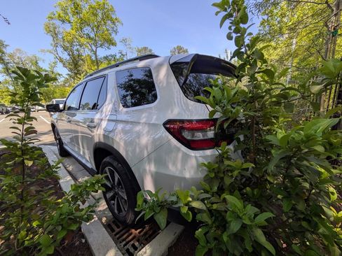 Used 2025 Honda Pilot Touring image 4