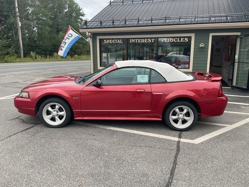 Used 2001 Ford Mustang GT Premium RWD image 10