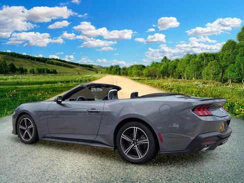 Used 2024 Ford Mustang Premium RWD image 4