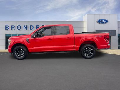 Used 2023 Ford F150 XLT w/ Equipment Group 302A High
