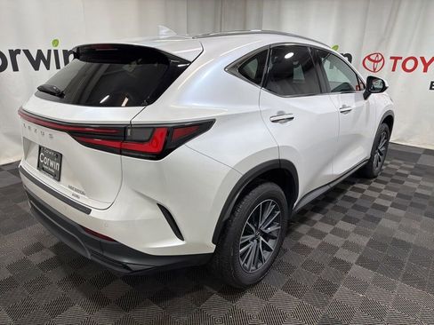 Used 2025 Lexus NX 350h AWD w/ Cold Area Package image 8