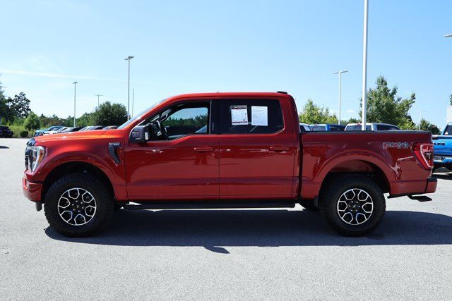 Used 2023 Ford F150 XLT w/ Equipment Group 302A High AWD/4WD image 11