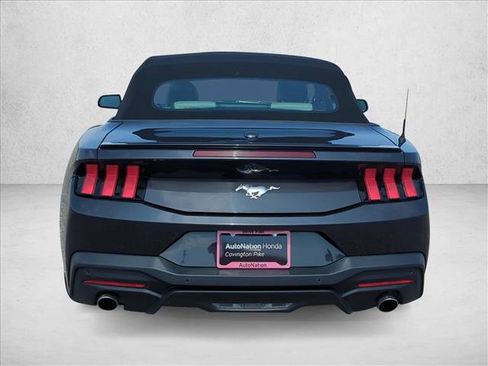 Used 2024 Ford Mustang Premium RWD image 7