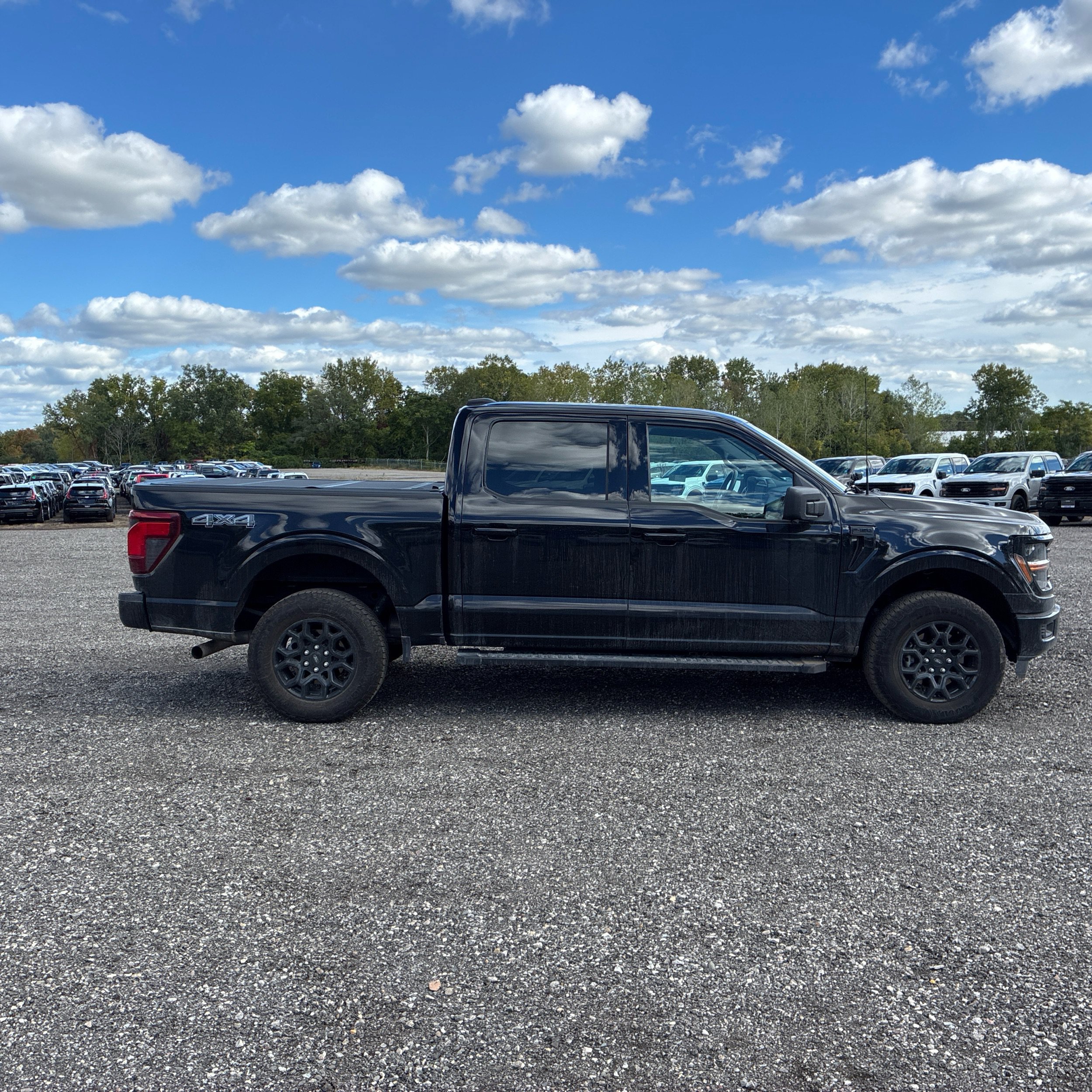 Used 2024 Ford F150 XLT w/ XLT Black Appearance Package AWD/4WD image 7