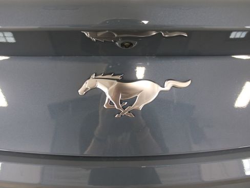 New 2025 Ford Mustang Coupe image 12