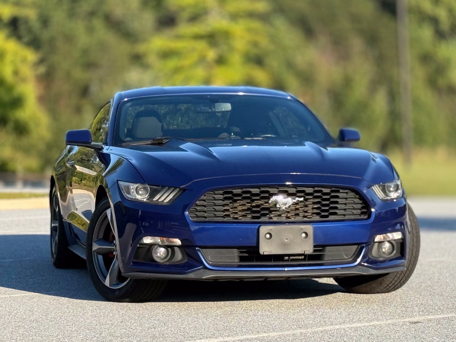 Used 2016 Ford Mustang Coupe w/ Equipment Group 051A RWD image 4